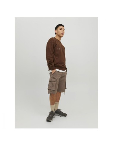 Jpstzeus Jjcargo Shorts Ama 